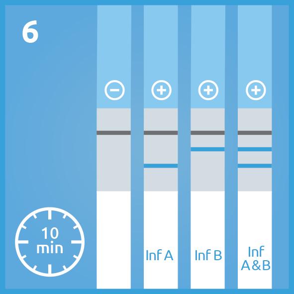 möLab Influenza Schnelltest A + B, 20 Stk. 